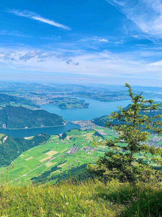 The Swiss Paradise 2 Apartment With Garden, Whirlpool, And Mountain Panorama Wirzweli Exteriér fotografie