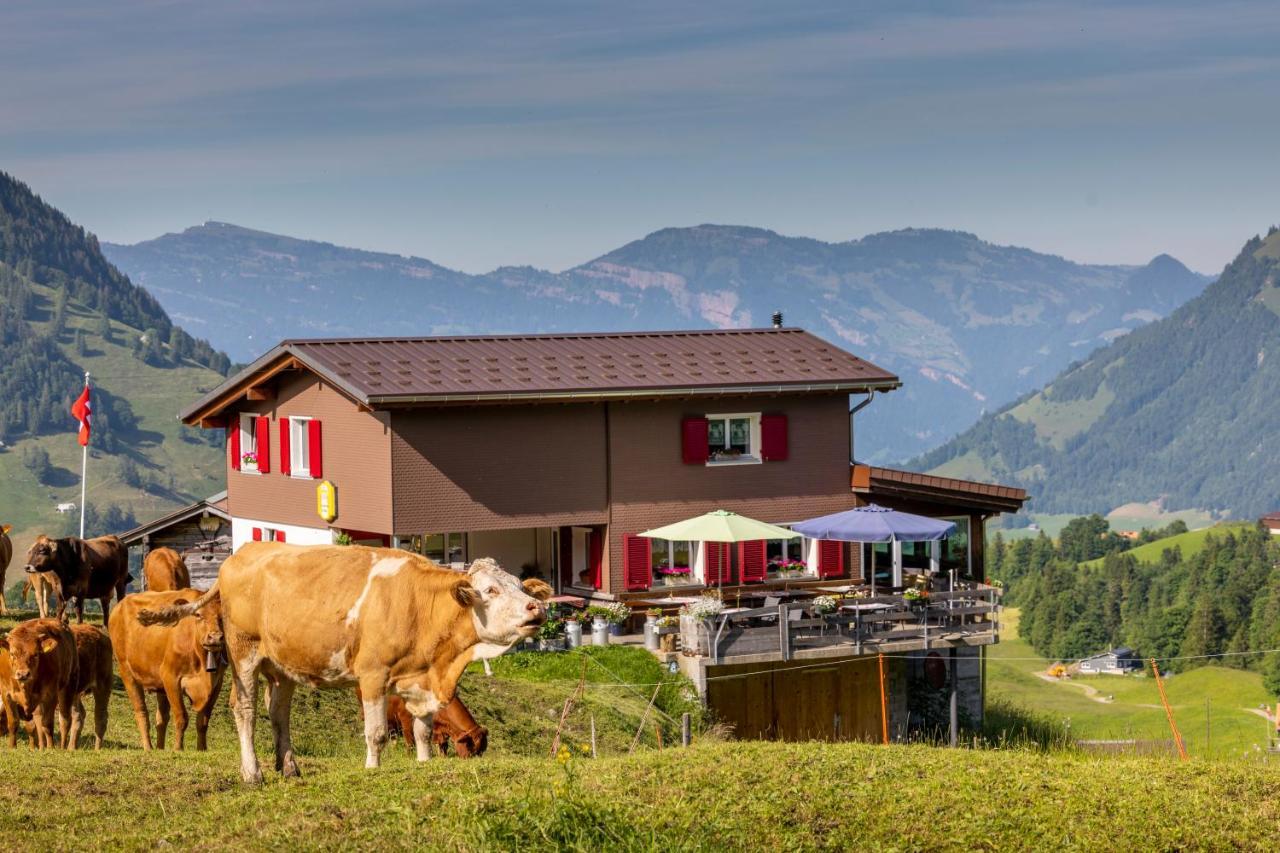 The Swiss Paradise 2 Apartment With Garden, Whirlpool, And Mountain Panorama Wirzweli Exteriér fotografie